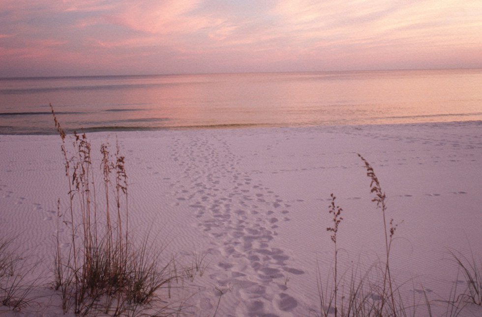 Footprints on beach at sunset, Emerald Coast, FL, USA