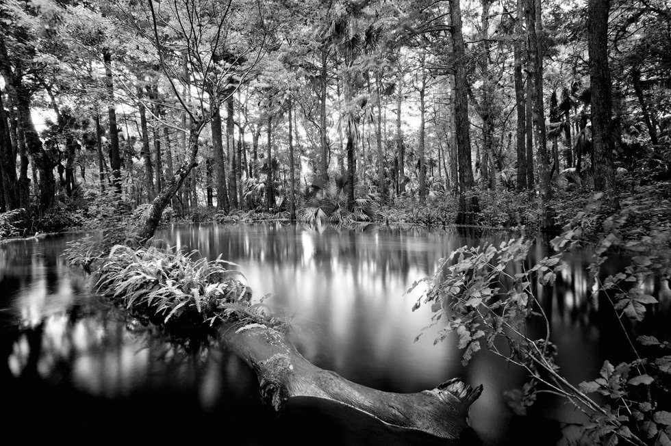 loxahatchee20river201