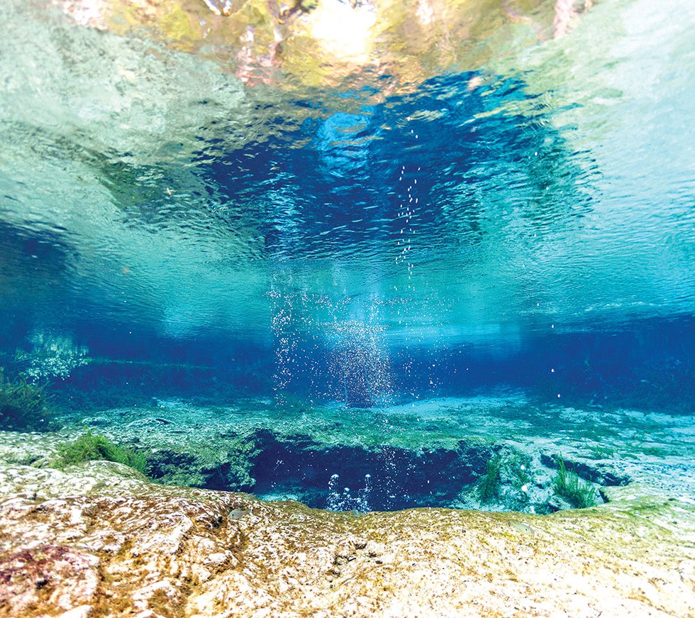 divers underwater caves diving Ginnie Springs Florida USA