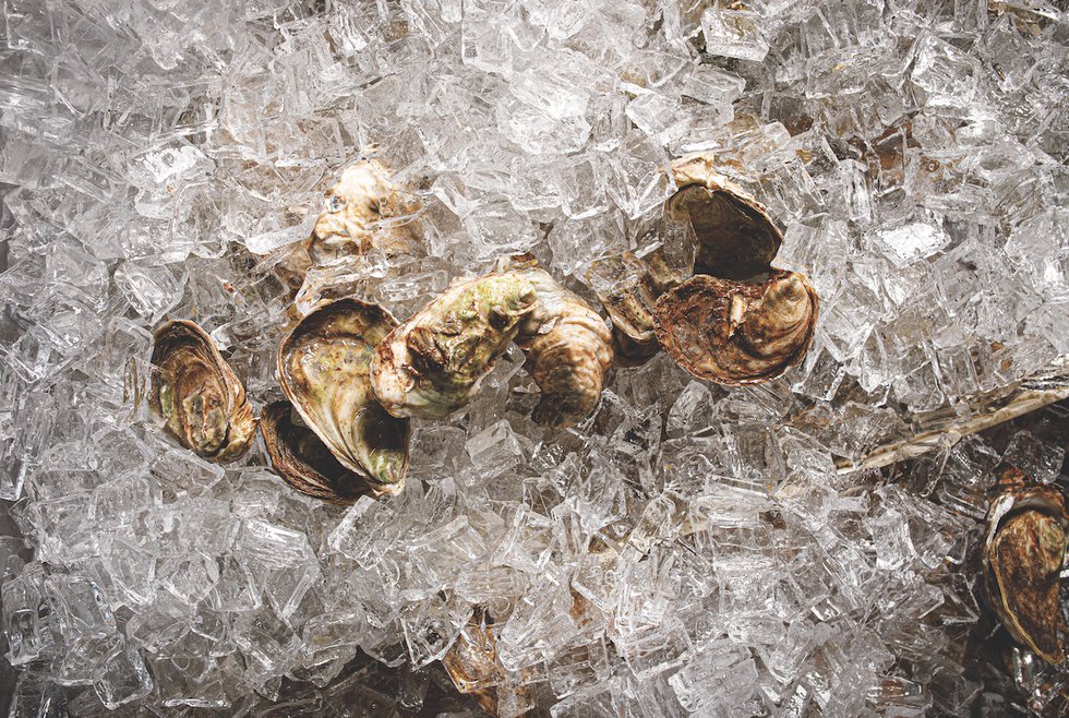 Savage Blonde oysters on ice photo by Brian Tietz