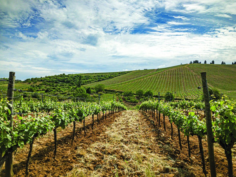 EL BIERZO MAYO 2019-18