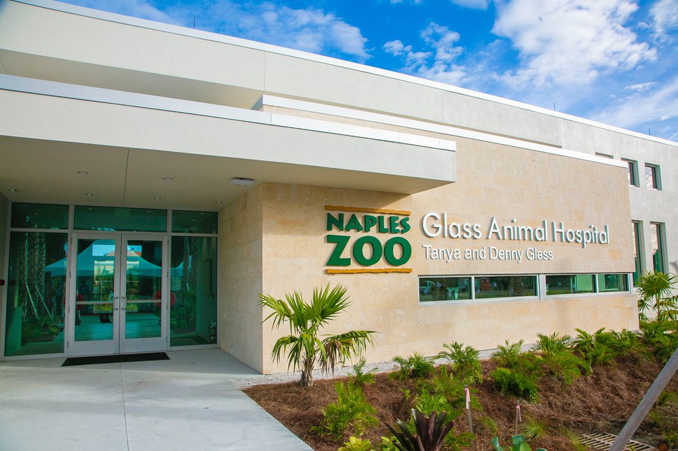 Naples Zoo Glass Animal Hospital