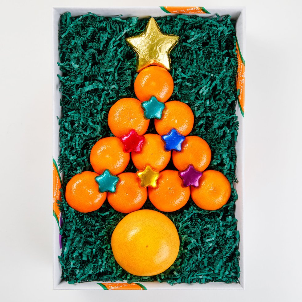 Merry Citrus Tree