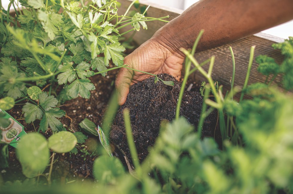 Chefs Garden At Your Service Insider