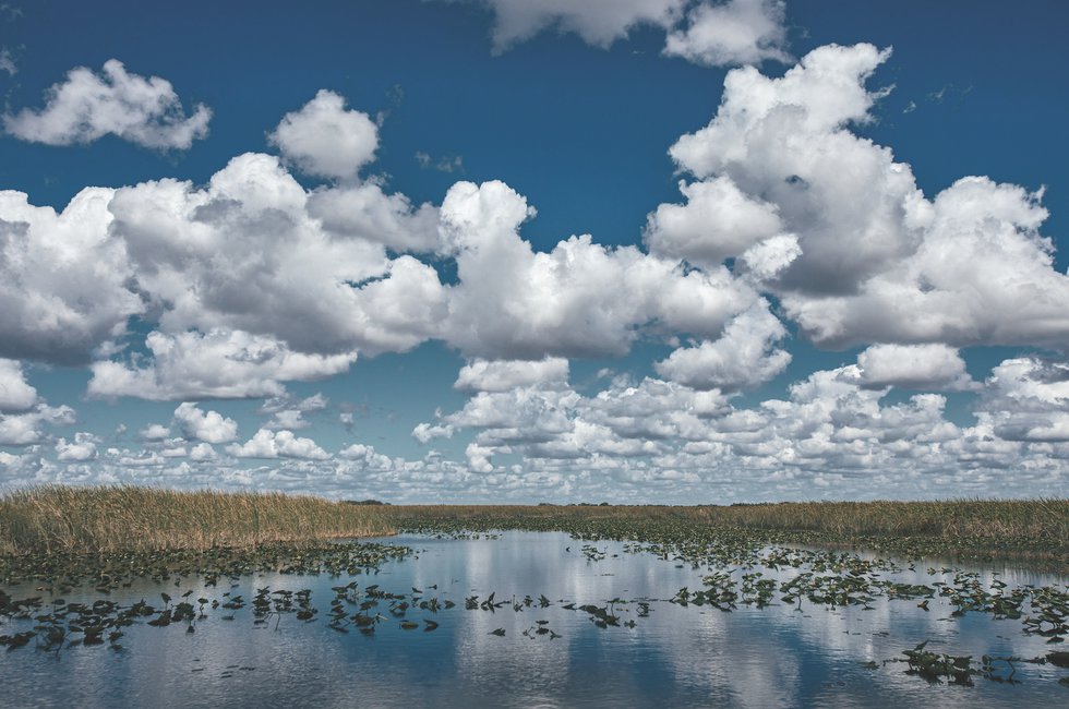 Osceola&#x27;s River of Grass April 2021