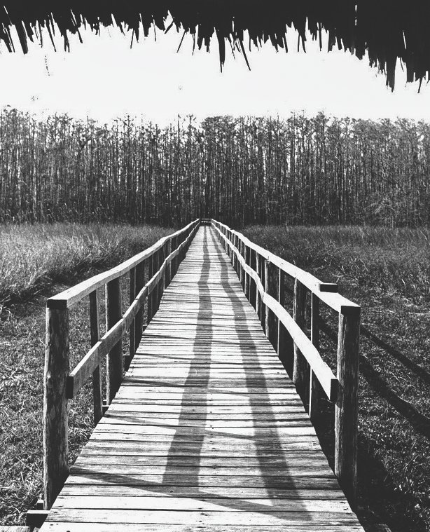 Start of first boardwalk