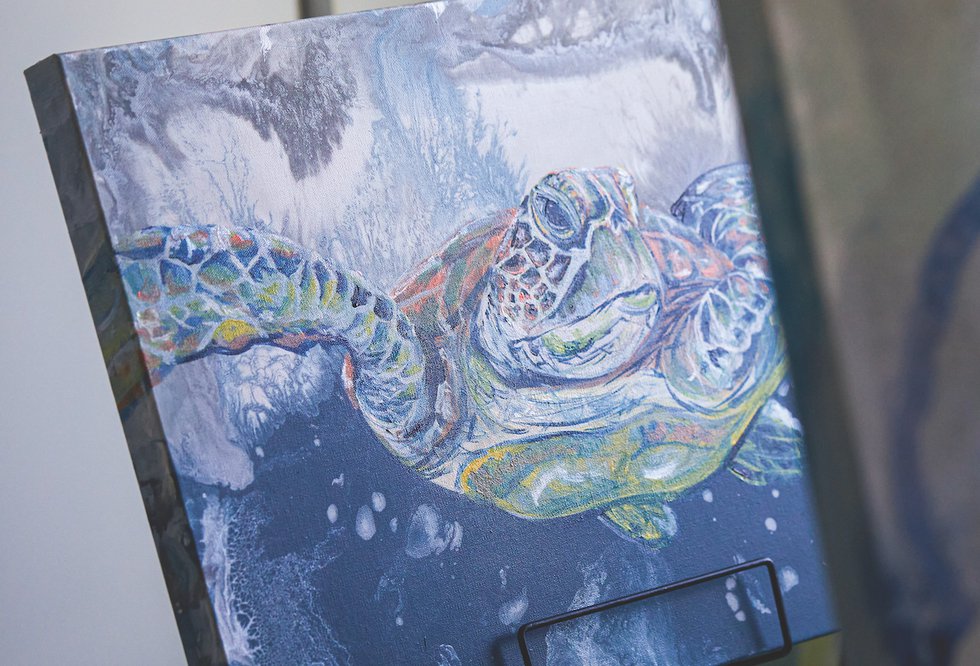 Turtle painting by Rachel Pierce