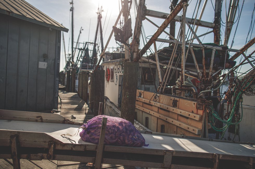 Gulf Shrimp being unloaded at the dock