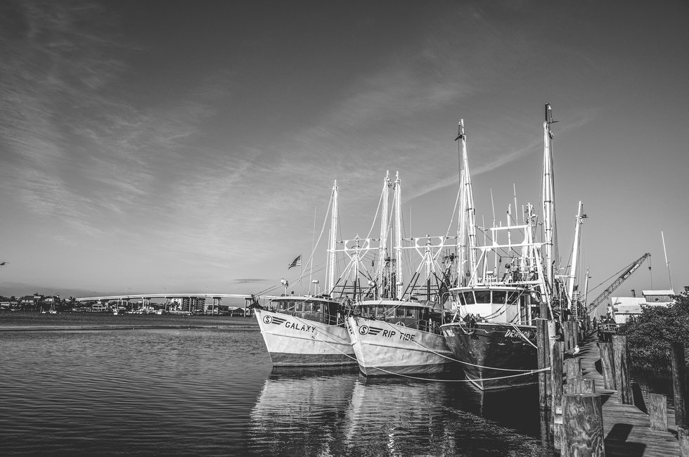 Shrimping Boats