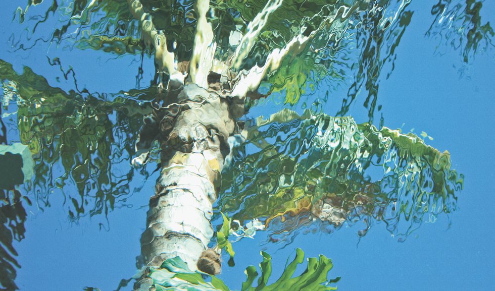 Coconut seen through glass bottom pool