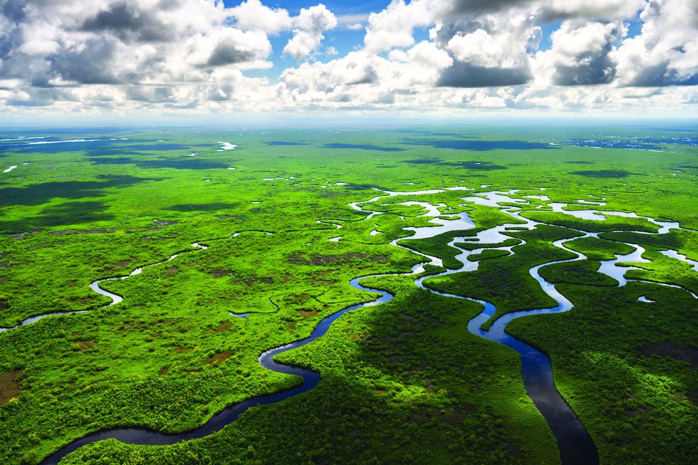 Aerial view of Everglades National Park in Florida, USA