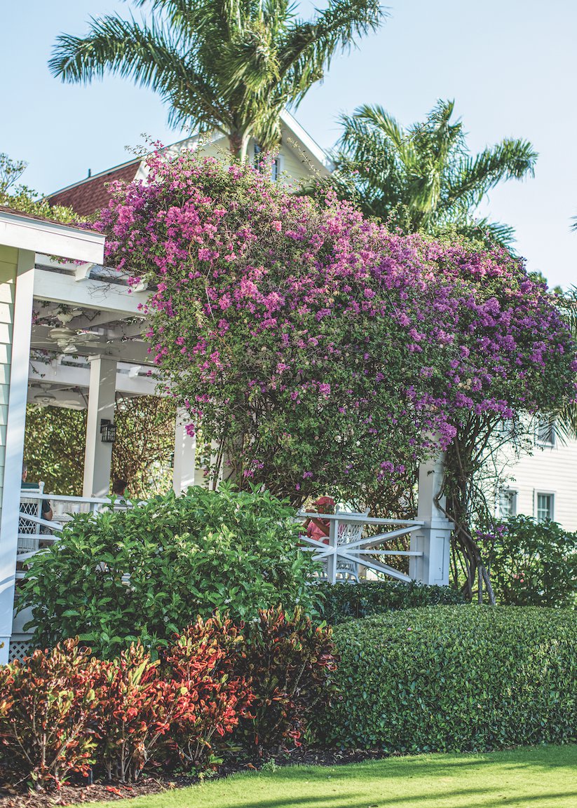 Gasparilla Inn beachfront cottages