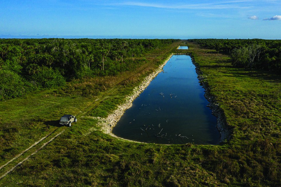 Ground water in Picayune Strand