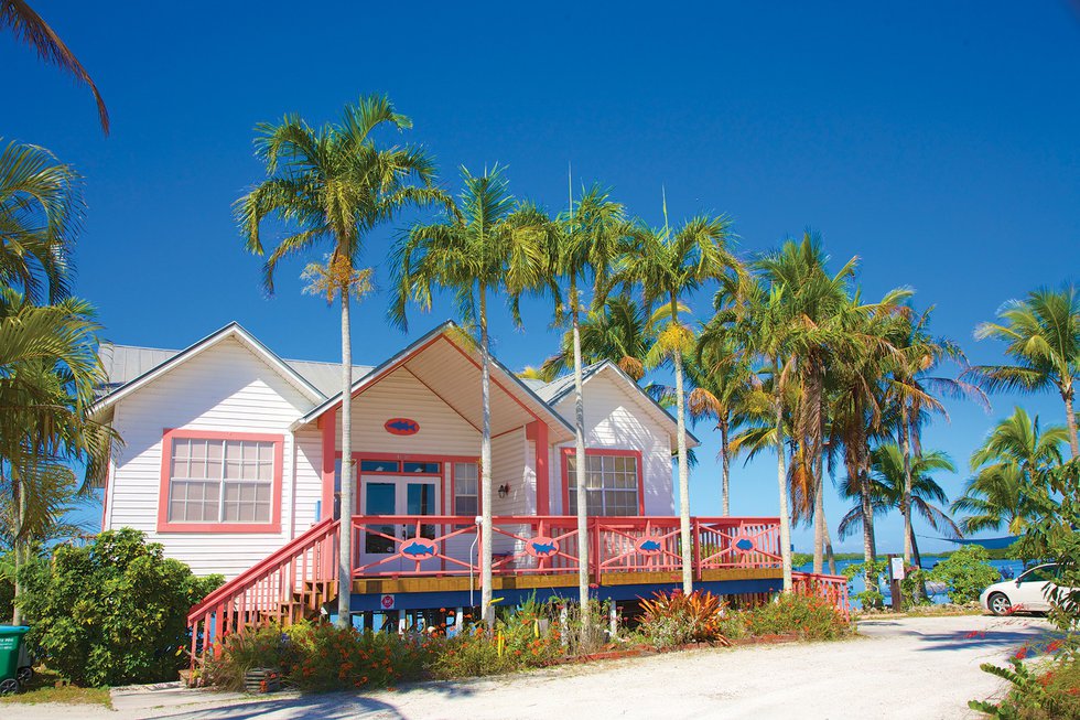 Small business building with porch and palms