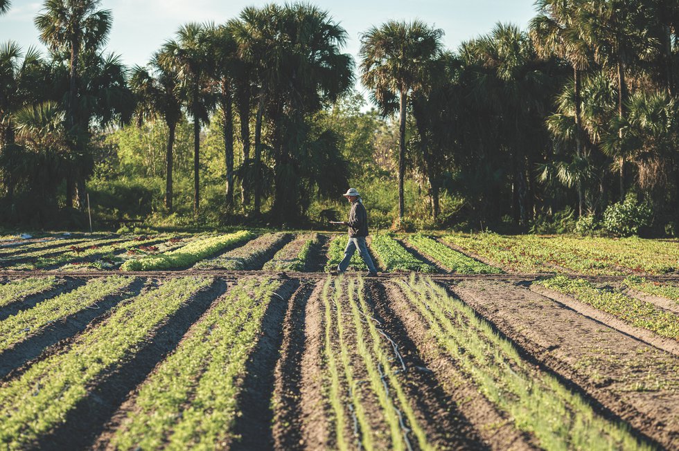 Inyoni Farm acreage