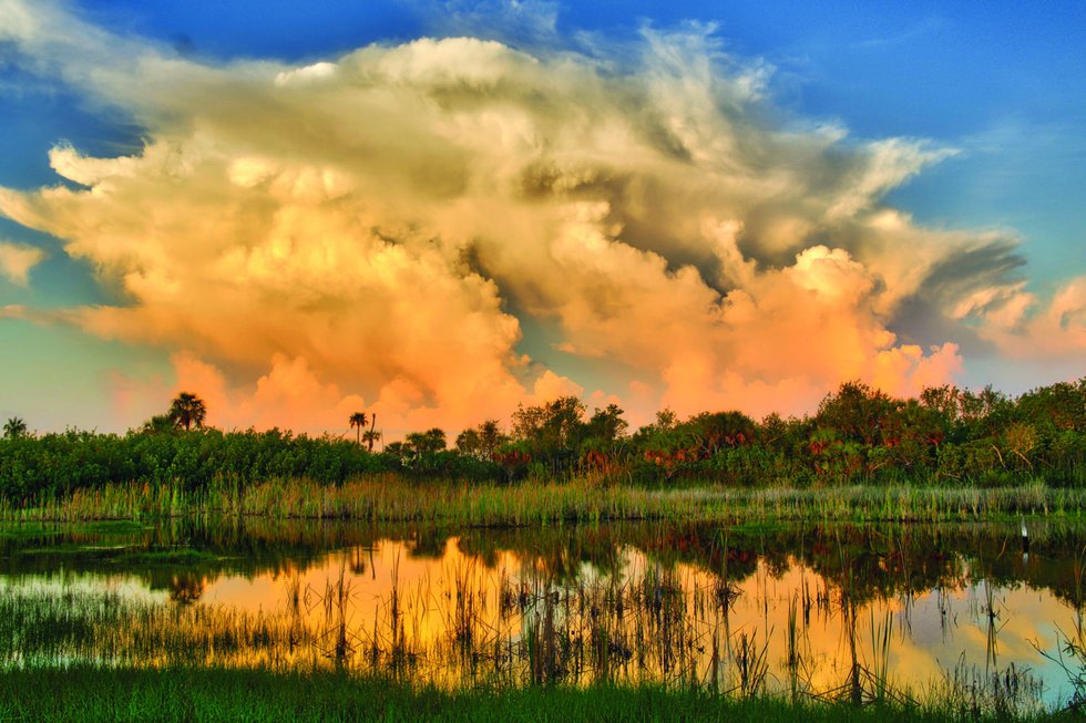 Conservancy of Southwest Florida sunsetsunset