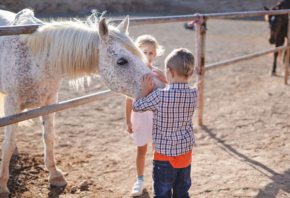 Children have fun with horse at ranch outdoor - Animal love