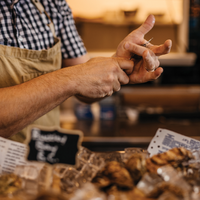 Coldwater Oyster Market