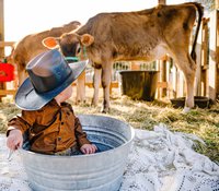 Kid with cows at Whispering Oaks Farm