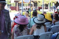 Naples Therapeutic Riding Center Derby Event