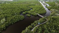 The Gordon River Greenway's Road