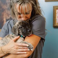 Woman Holding a Puppy