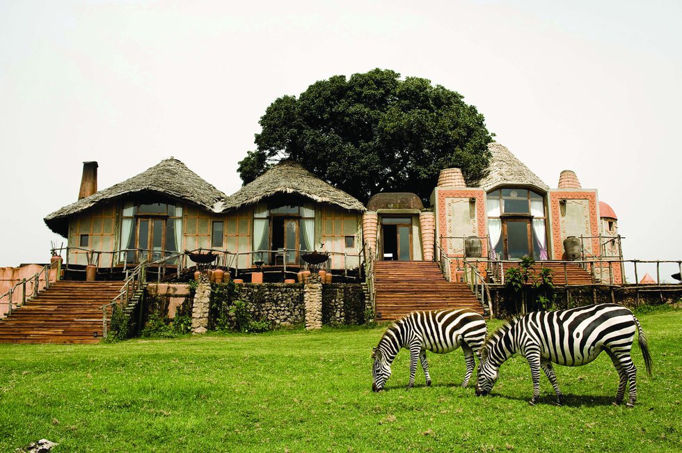 Two zebras in front of lodge