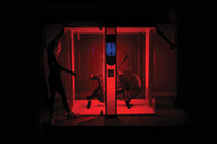 wellness red light therapy