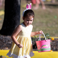 Easter Egg Hunt MINI