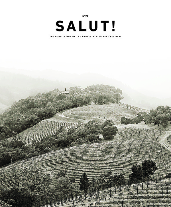 Salut Cover (2024)