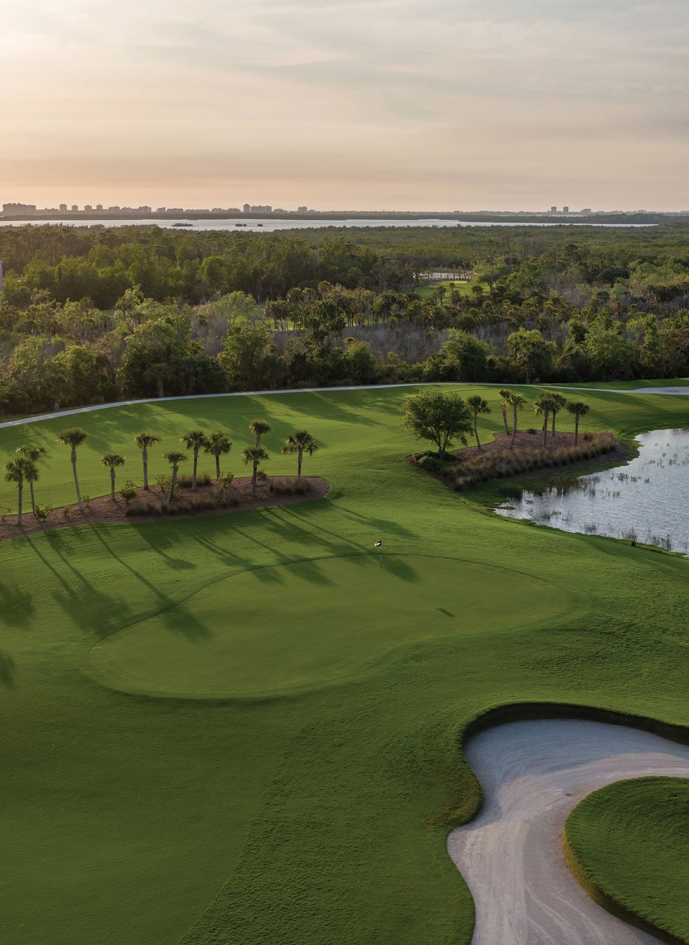 Estero Saltleaf golf preserve aerial view