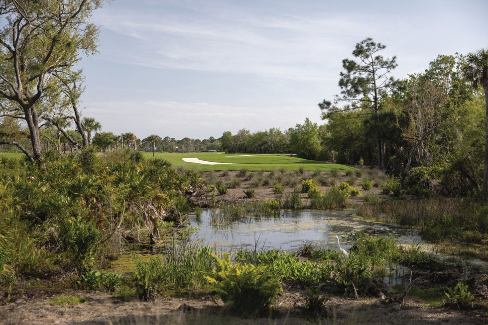 Estero Saltleaf golf preserve pond side view