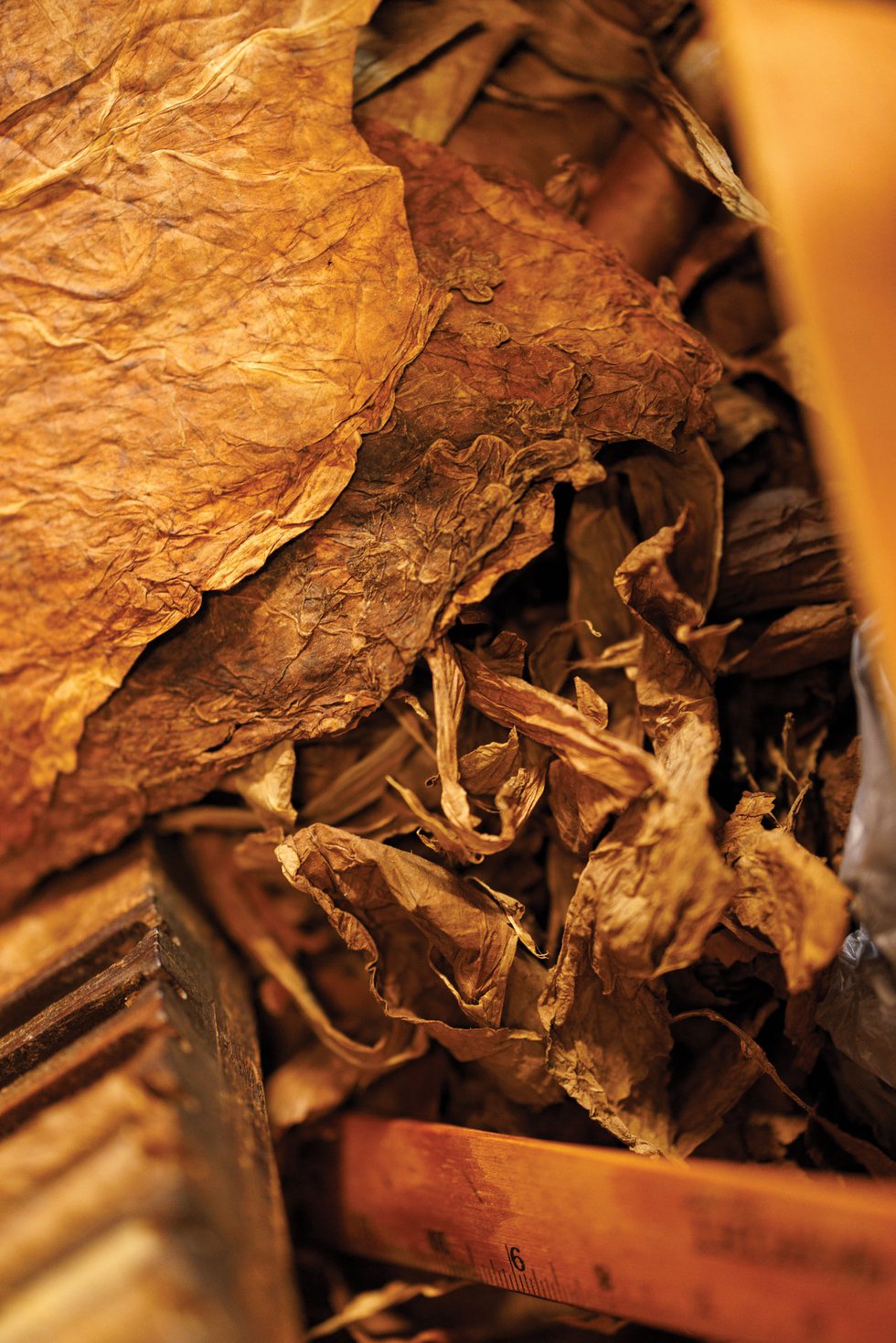 Cigar ingredients stacked ready for cigar rolling