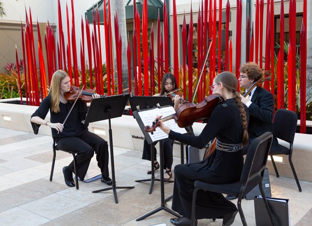 Naples Philharmonic Youth Orchestra. Courtesy Artis—Naples