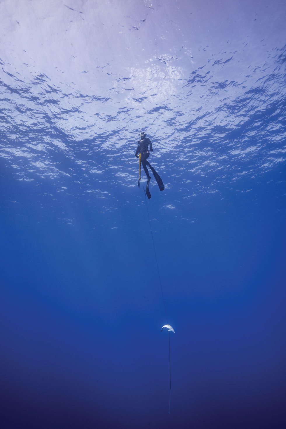 kelly family spearfishing single diver